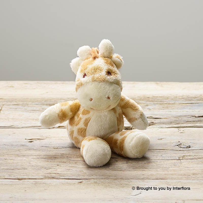 Gigi Giraffe Teddy – Denise's Florist Loughborough